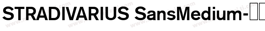 STRADIVARIUS SansMedium字体转换